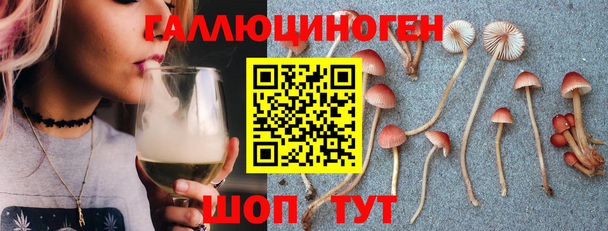 Элиста  Галлюциногенные грибы прущие грибы  Псилоцибиновые грибы MAGIC MUSHROOMS  где купить наркоту  Вход с VPN 